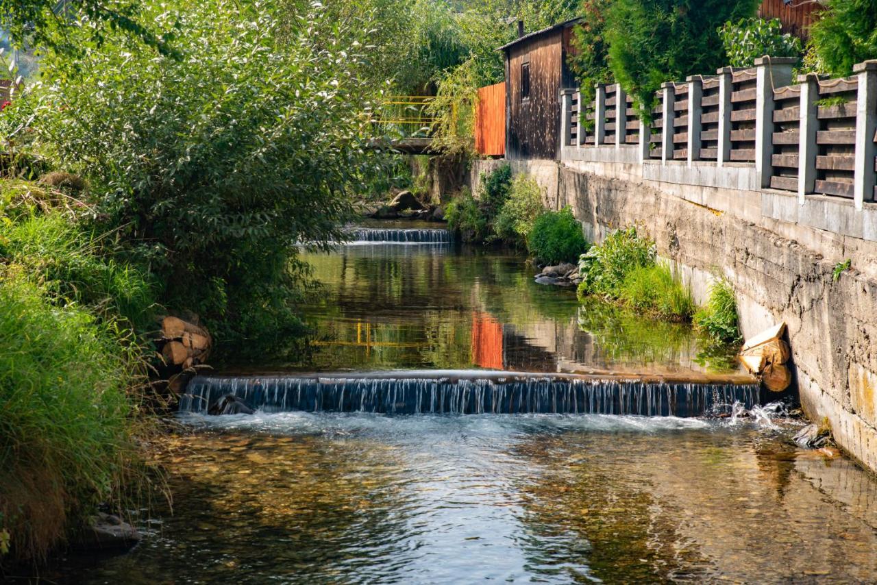 Pensiunea La Rachitele Exterior foto