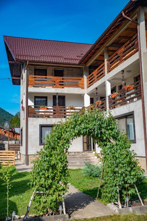 Pensiunea La Rachitele Exterior foto