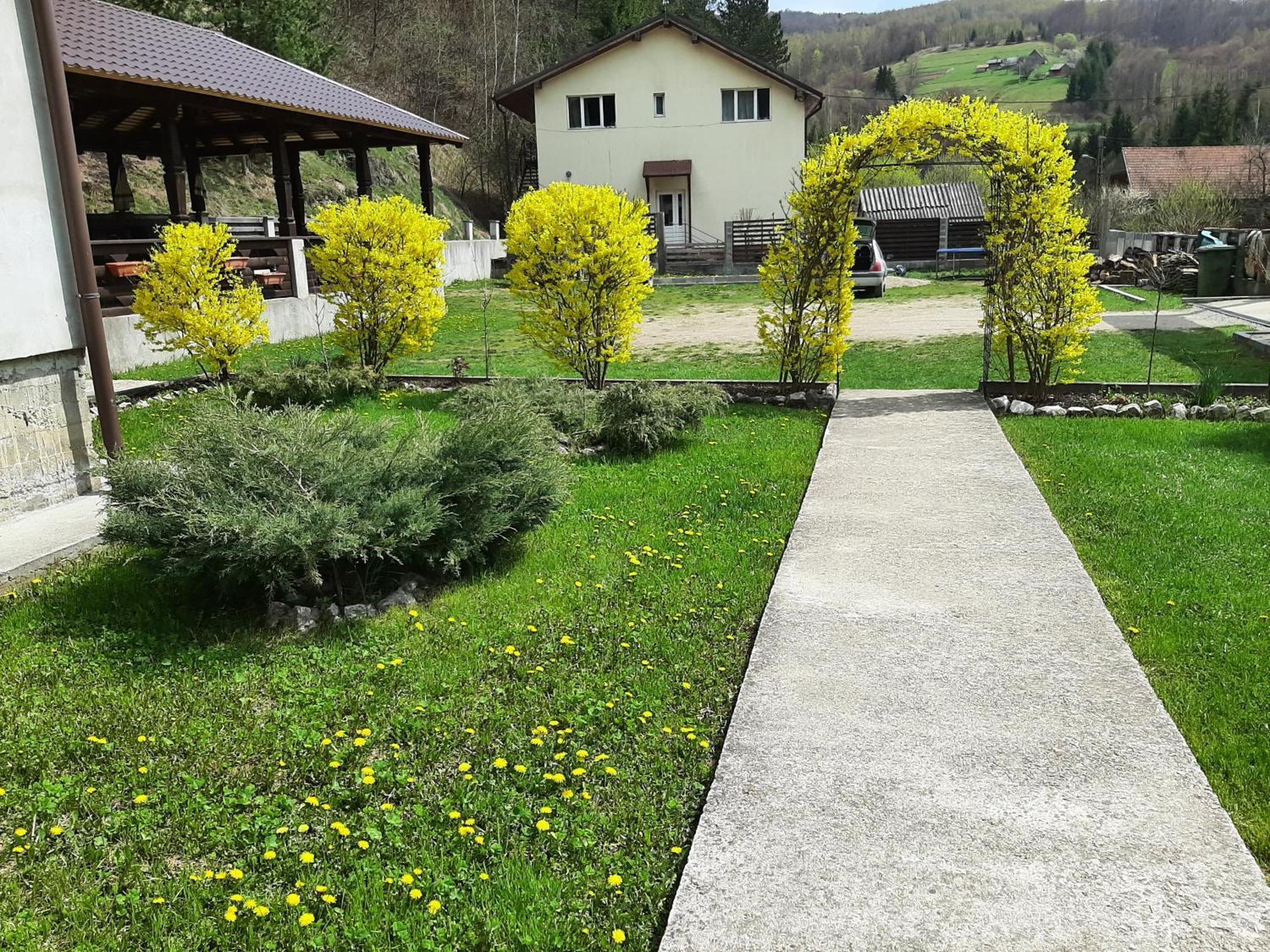 Pensiunea La Rachitele Exterior foto