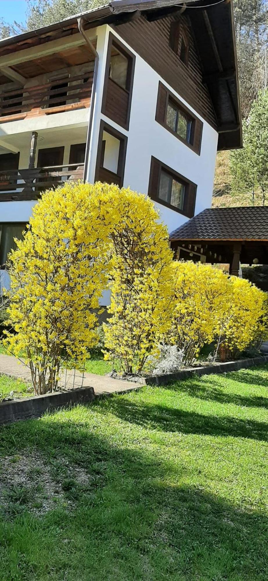 Pensiunea La Rachitele Exterior foto