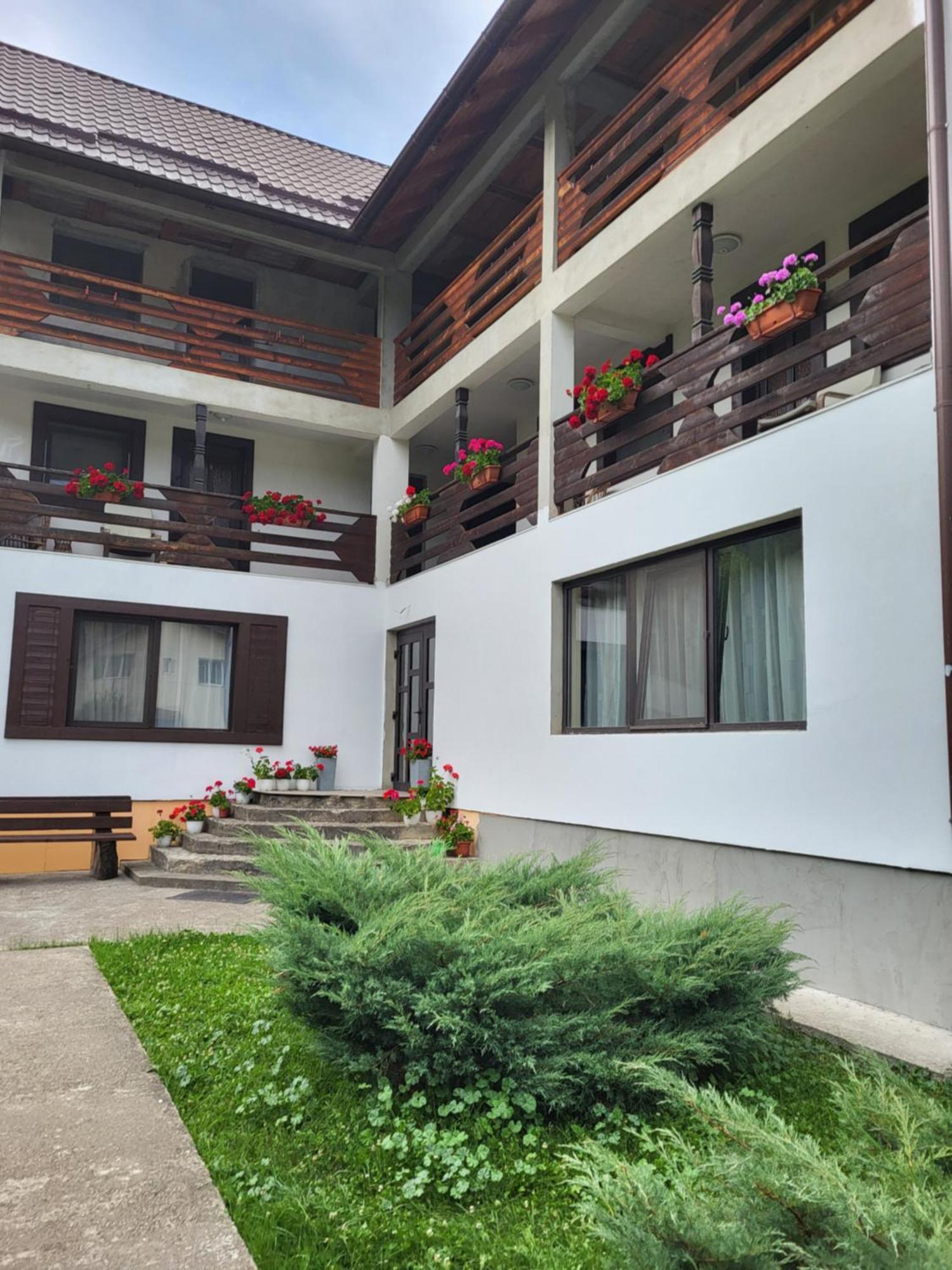 Pensiunea La Rachitele Exterior foto